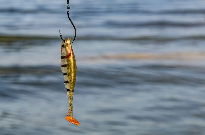 tips memasang umpan pancing